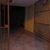 dia 11 de Marco de 2023 4.54